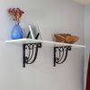 Ionic Shelf Brackets