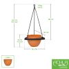 Lina Hanging Planter I