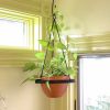 Lina Hanging Planter I