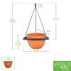 Lina Hanging Planter II