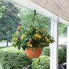 Lina Hanging Planter II