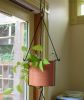 Vera Hanging Planter, Burnt Sienna