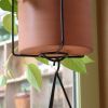 Vera Hanging Planter, Burnt Sienna