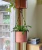 Vera Hanging Planter, Burnt Sienna