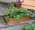 Small Copper Plated Flower Box