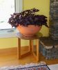 Large Planting Bowl, Burnt Sienna