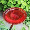 12" Red Crackle Birdbath- Rail Mount Bracket