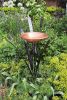 Single Cattail Birdbath