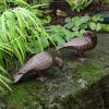 Pair of Bronzed Doves