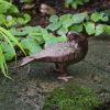 Pair of Bronzed Doves