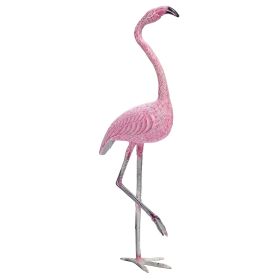 American Flamingo