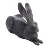 Charcoal Rabbit