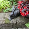 Charcoal Rabbit