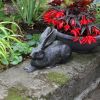 Charcoal Rabbit