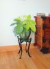 Denise II Plant Stand