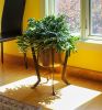 Denise III Plant Stand