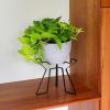 Florence Plant Stand