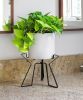 Florence Plant Stand