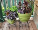 10" Piazza Plant Stand