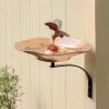 Hummingbird Birdbath- Wall Mount Bracket