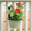 6" Flower Pot Ring, pack of 2