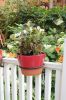 6" Clamp-On Flower Pot Ring, pack of 2