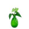 Teardrop Fern Green Rooting Vase