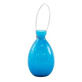 Teardrop Teal Rooting Vase