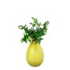 Teardrop Yellow Rooting Vase