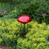 Toadstool, Red