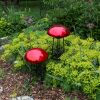 Toadstool, Red