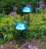 Toadstool, Teal