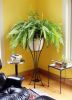 Verandah Plant Stand