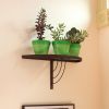 Vita Half-Round Wall Shelf