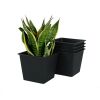 6.3" Square Nursery Plant Pot - Garden Plastic Pots with Drainage (5-Pack)