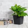 6.3" Square Nursery Plant Pot - Garden Plastic Pots with Drainage (5-Pack)