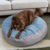 Jaxx Robbi Round Pet Bed, Medium