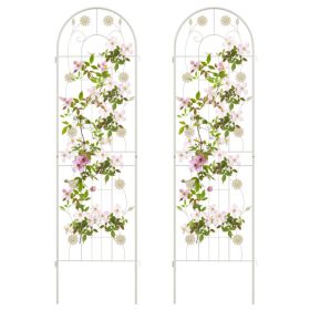 2 Pack 71 x 20 Inches Metal Garden Trellis Rustproof Plant Support for Climbing Plants (Color: White)